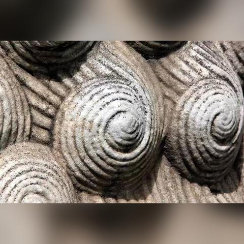 (无双的荣耀)无双之魔荣耀称号：唯我独尊，无人可敌者
