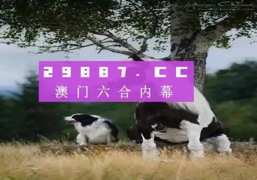 2024澳门跑狗图正版高清图片大全|智能科技助你生活更便捷_极速版SSIP.4.18